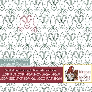 Könnte beinhalten: Ein sich wiederholendes Muster aus dunkelgrünen Linienzeichnungen von Hasen und Karotten auf weißem Grund, mit zwei hervorgehobenen roten Hasen. Text: For Computerized Longarm Quilters. Digitale Formate: .LDF .PLT .DXF .HQF .HQV .HQA .HQW .CQP .SSD .TXT .IQP .QLI .QCC .PAT .BQM. Logo Needle and Gnome Quilt LLC.