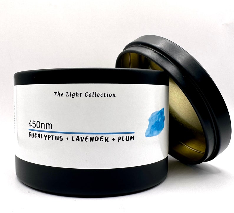 Eucalyptus Candle Gifts for Scientist Science Candles Gifts Etsy