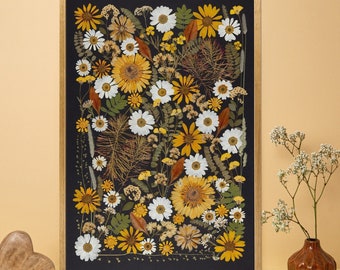 May include: A framed pressed flower art piece with a black background. The flowers are mostly white and yellow daisies with some brown and orange accents.