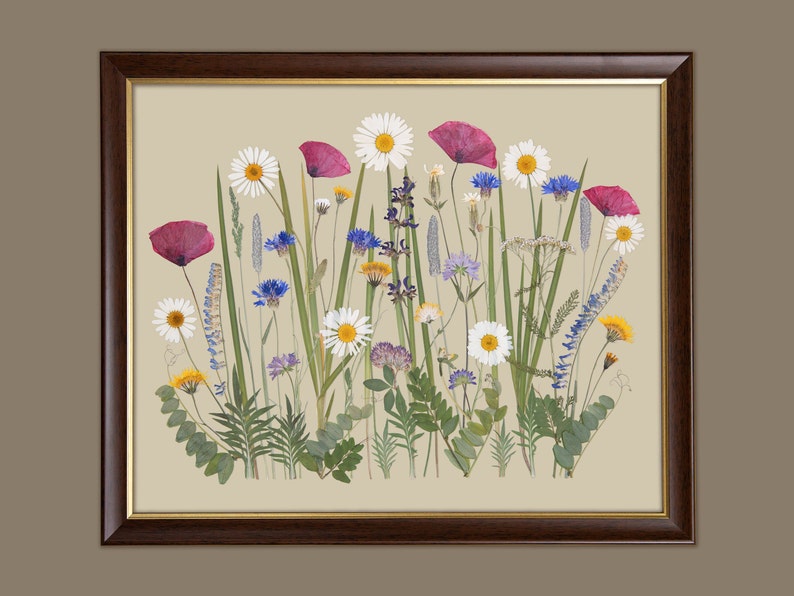 Pressed Flowers Fine Art Print, Giclée Botanical Print, Plants Home Decor, Wall Art, Gifts, Herbarium, Wildflowers image 7