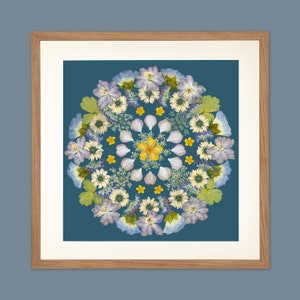 May include: A framed print of a floral mandala with a teal background. The mandala is made of pressed flowers in shades of blue, yellow, and white.