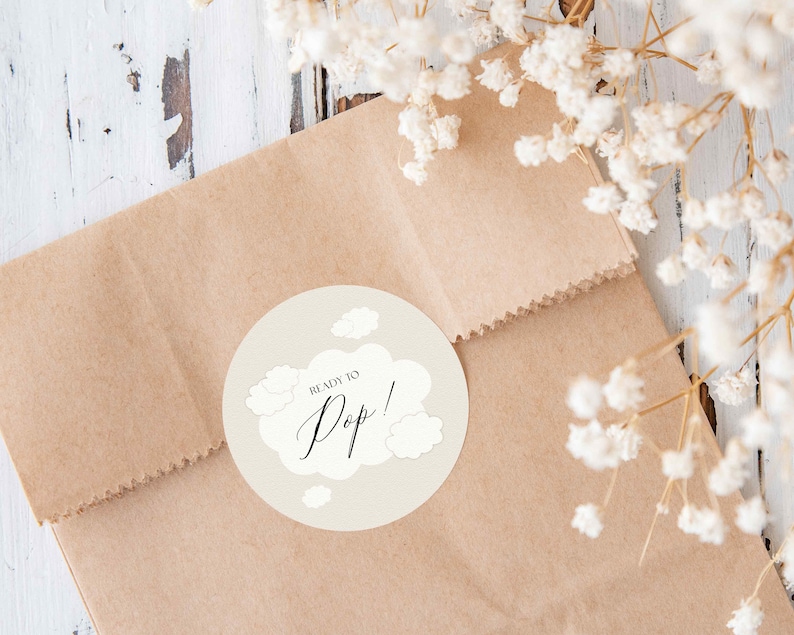 May include: A brown paper bag with a round sticker that says "Ready to Pop!" with a cloud design.
