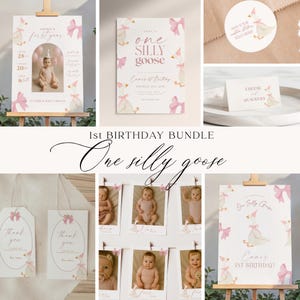 One Silly Goose Birthday Bundle, First Birthday Bundle, 1st Birthday Bundle, Invite, Milestone Chart, Monthly Banner, Pink Girl Aesthetic