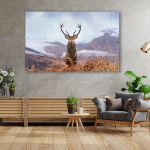 Deer Tempered Glass Wall Art: Modern Animal Print