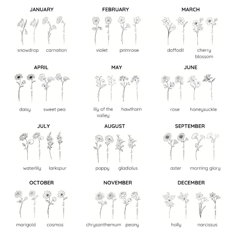 May include: A black and white chart displaying twelve months from January to December, each featuring two distinct line-art flower illustrations with their corresponding names: snowdrop, carnation, violet, primrose, daffodil, cherry blossom, daisy, sweet pea, lily of the valley, hawthorn, rose, honeysuckle, waterlily, larkspur, poppy, gladiolus, aster, morning glory, marigold, cosmos, chrysanthemum, peony, holly, and narcissus.