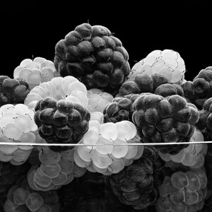 Berry Good Black and White Canvas Print Glossy Living Room Bedroom Decor Fine Art Poster Raspberry Contrast Fruit