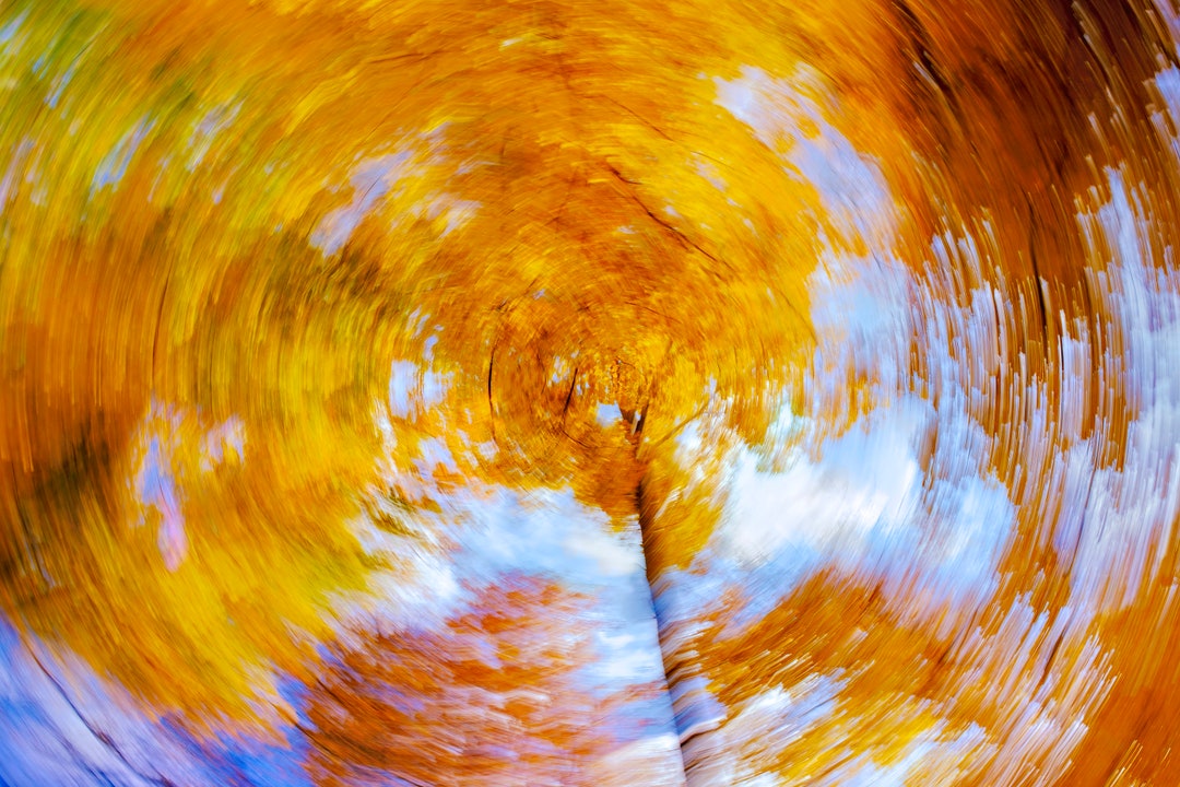 Fall Color Swirls Fall Color Swirl Photograph Canvas Print Glossy Print Livingroom ...
