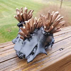 REAL Crystallized Deer Skull Cap with Aura Quartz | Black Paint, Memento Mori Artwork