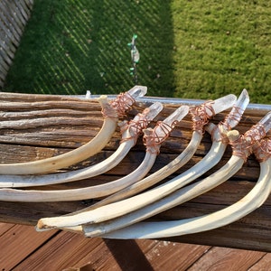 May include: A collection of bone-like objects with clear quartz crystals wrapped in copper wire. The objects are arranged in a fan shape on a wooden surface.