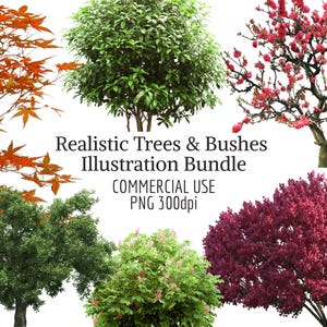 108 Realistic Trees & Bushes Clipart Mega Bundle | Botanical PNG Illustrations | Transparent PNG | Commercial Use