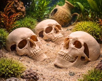 4 Pcs Human Skull Reptile Hide, 3D Printable Aquarium Terrarium Decor, Cave for Fish, Reptiles, Shrimp, Spiders and Insects