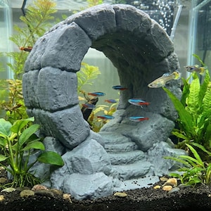 Peut inclure: Une décoration d'aquarium grise en forme d'arche avec des marches. L'arche est entourée de plantes aquatiques vertes et de petits poissons colorés. Les poissons ont des rayures bleues et rouges.