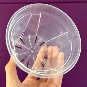 May include: A clear plastic plant pot with a circular design. The pot has a series of vertical lines and a star-shaped pattern at the bottom. The pot is held in a hand against a purple background.