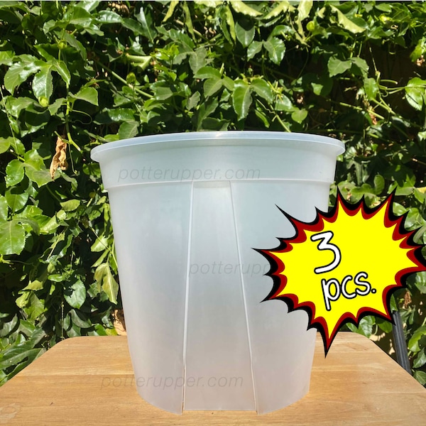 11.5" Diameter Translucent Large Pot for your Aroids, Monstera, Philodendrons Pack of 3