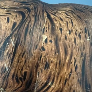 K&ouml;nnte beinhalten: Nahaufnahme eines Holzmaserungsmusters mit dunkelbraunen und hellbraunen Wirbeln. Das Holz hat eine nat&uuml;rliche, organische Textur.