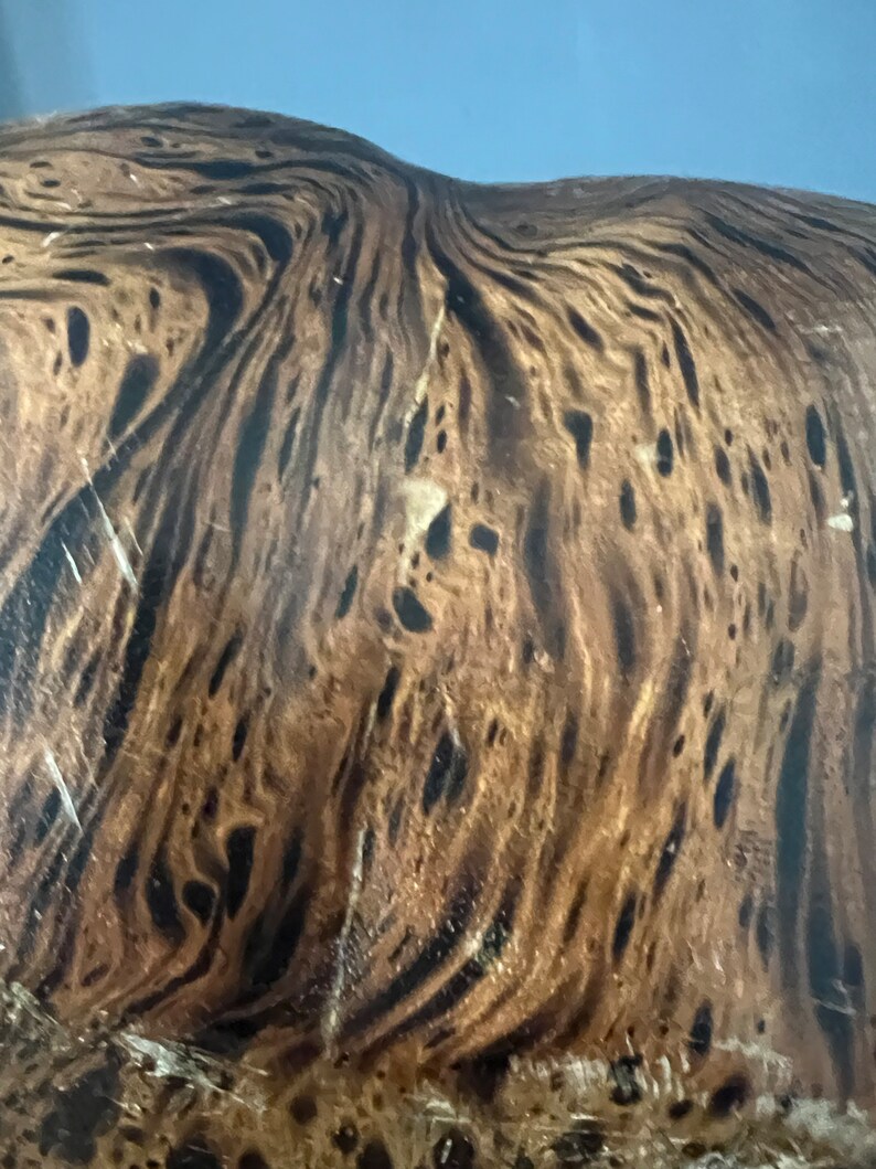 K&ouml;nnte beinhalten: Nahaufnahme eines Holzmaserungsmusters mit dunkelbraunen und hellbraunen Wirbeln. Das Holz hat eine nat&uuml;rliche, organische Textur.