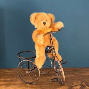 Teddy Bear Tricycle - Etsy