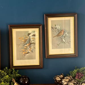 May include: Two rectangular framed prints featuring bird illustrations. The left print shows a bird on a branch with yellow leaves, while the right print depicts a robin perched on a flowering branch. Both prints are encased in dark wood frames.
