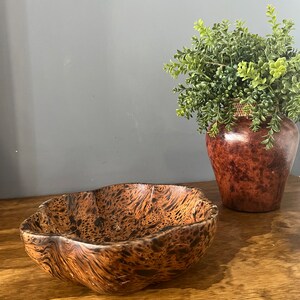 K&ouml;nnte beinhalten: Eine braune Holzschale mit einem einzigartigen, wirbelnden Maserungsmuster. Die Schale hat eine abgerundete, leicht unregelm&auml;&szlig;ige Form und steht auf einer Holzoberfl&auml;che.