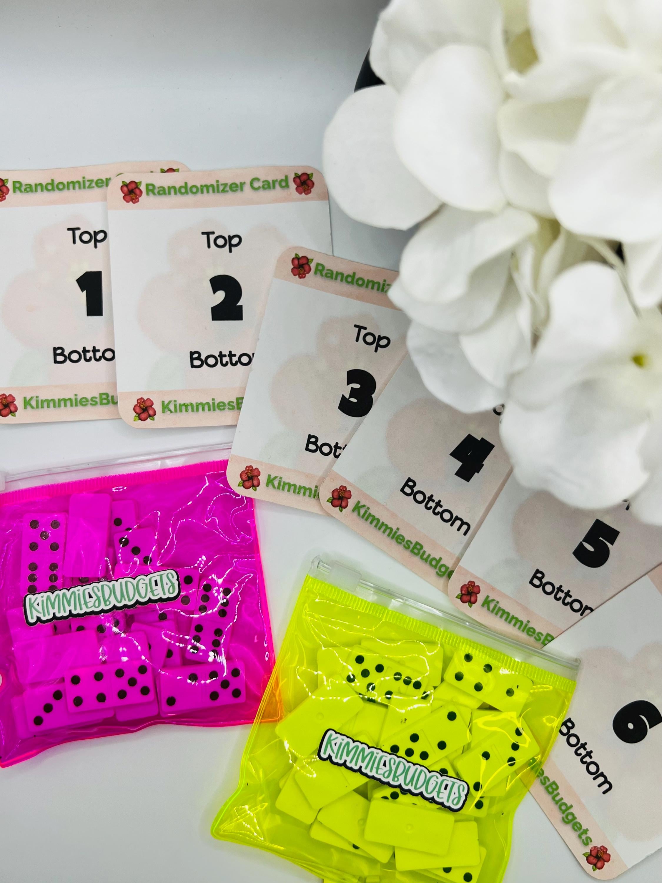 NEW Domino Randomizer Game | Randomizer Challenges | Cash Stuffing ...