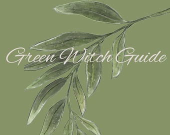 Green Witch Guide PDF | Beginner Herbal Magic Handbook | Nature Witch Rituals & Earth-Based Spirituality Workbook