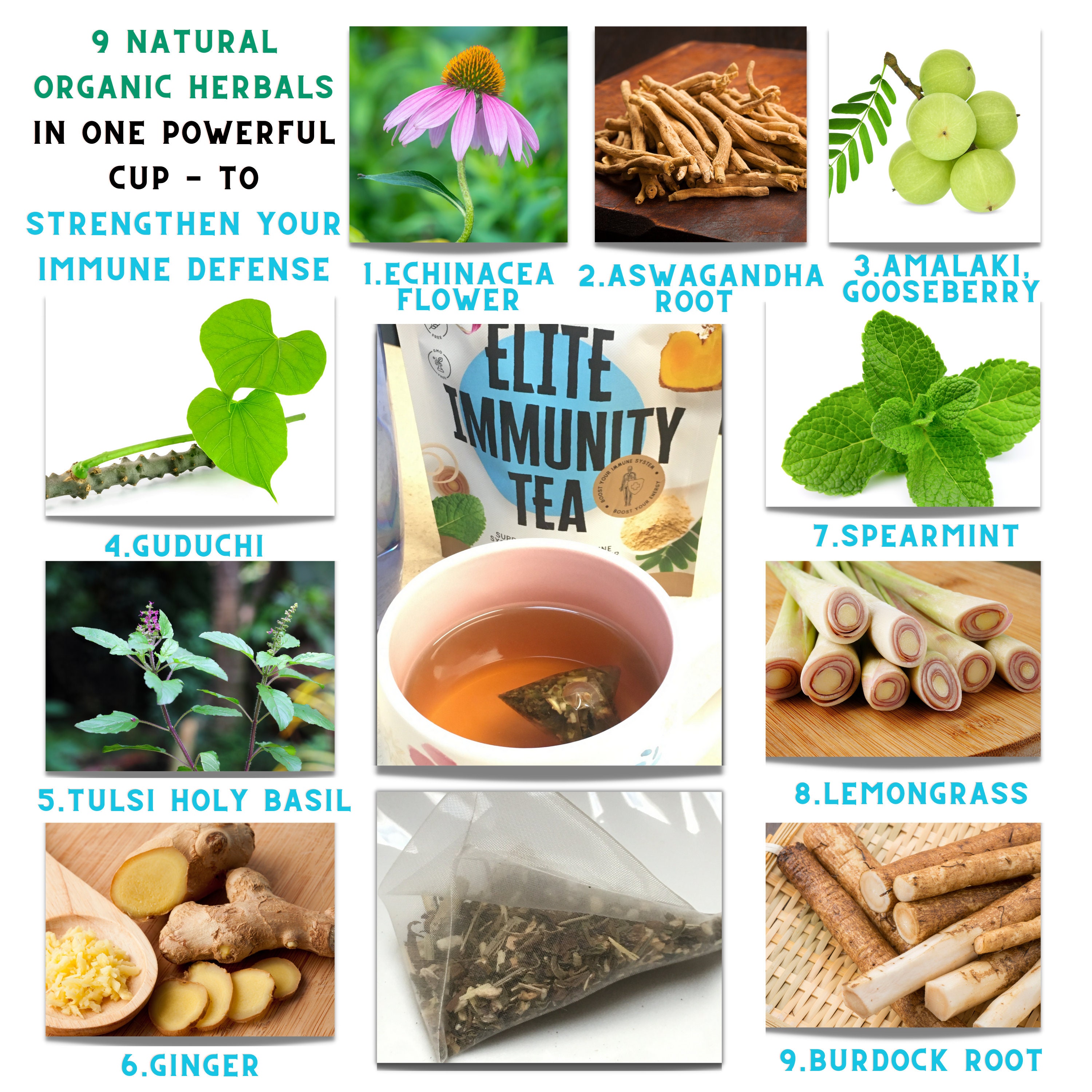 Elite Fasting Tea Boosts Your Intermittent Fasting Hours & Immunity Tea