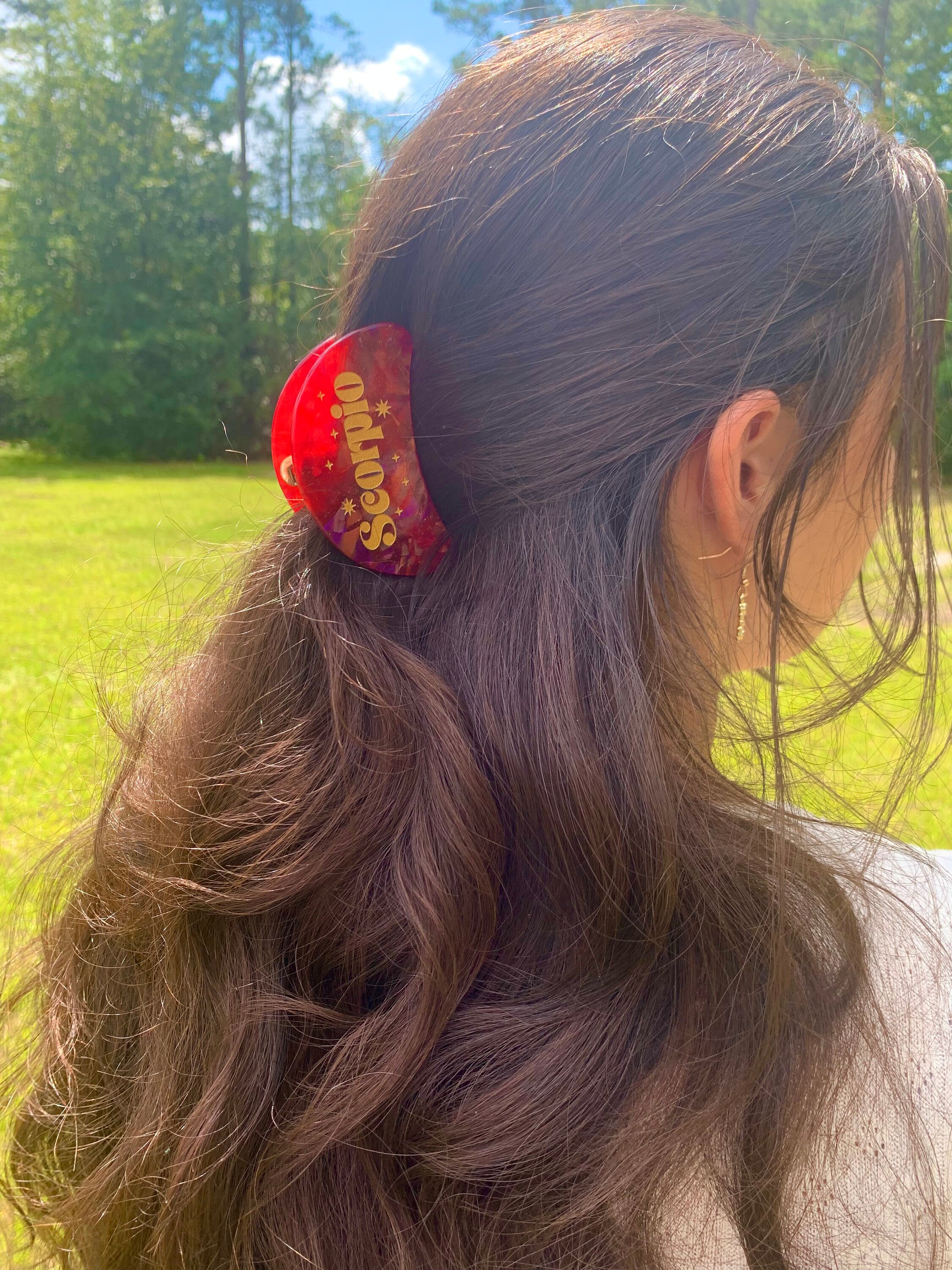 Zodiac Spring Clips Zodiac Sign Hair Claw Clips | Zodiac Accessories, Gift Ideas ...