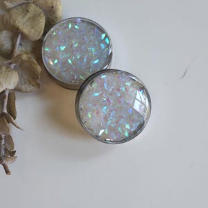 May include: Two circular ear plugs with silver rims, filled with iridescent, glitter-like material. They are set on a white surface, with dried eucalyptus leaves in the background. The plugs are likely for ear piercings.