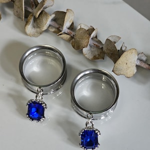 May include: A pair of silver-toned ear gauges with a dangling, square, deep blue gemstone. The gauges are circular and have a polished finish. A sprig of dried eucalyptus is in the background, adding a natural element to the composition.