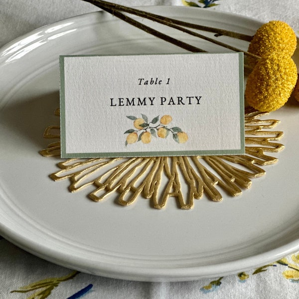 table place setting cards template Lemon Bridal Shower Blank Place Cards Instant Download, 2 Styles Printable Letter Size PDF