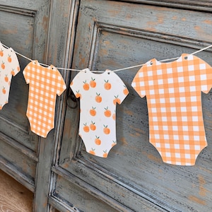 Little Cutie Is On The Way Baby Shower Banner, Orange Baby Shower Decor, Fruit Onesie Banner, Little Cutie Party Garland, Gingham Banner