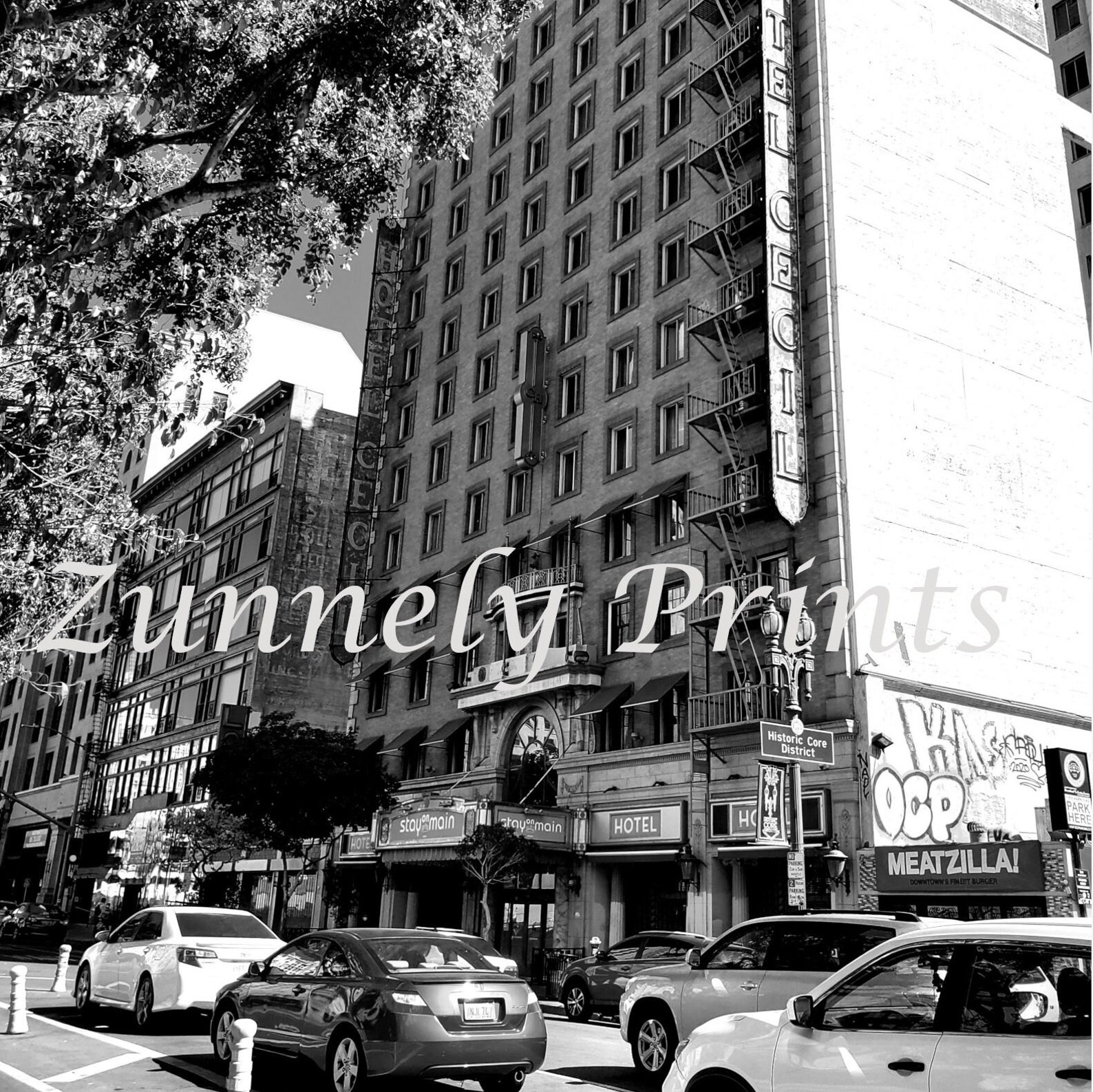 Cecil Hotel Wall Art Home Decor Digital Black and White Etsy