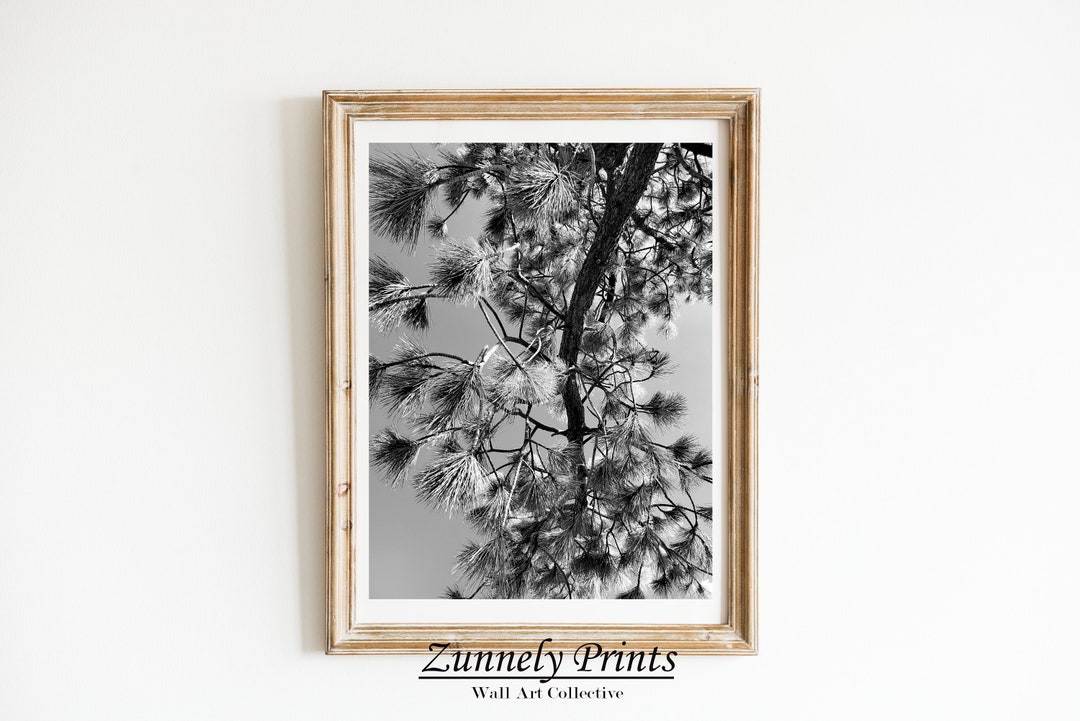Printable Digital Download Black and White Yosemite Tree Neutral Wall
