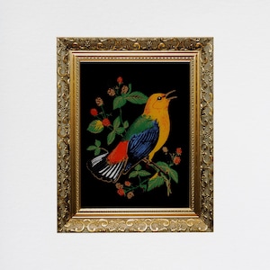 May include: A framed artwork featuring a colorful bird with yellow, red, blue, and green plumage perched on a branch with green leaves and red berries against a black background.