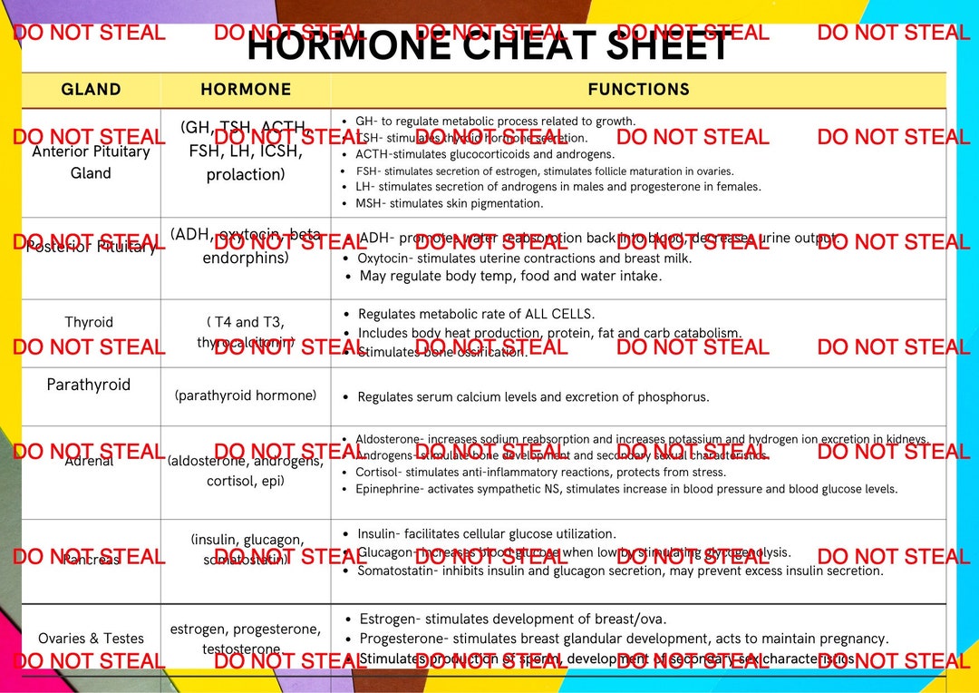 Hormone Cheat Sheet Etsy hormone-cheat-sheet-etsy