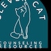 Owner of <a href='https://www.etsy.com/shop/cccresources?ref=l2-about-shopname&from_page=listing' class='wt-text-link'>cccresources</a>