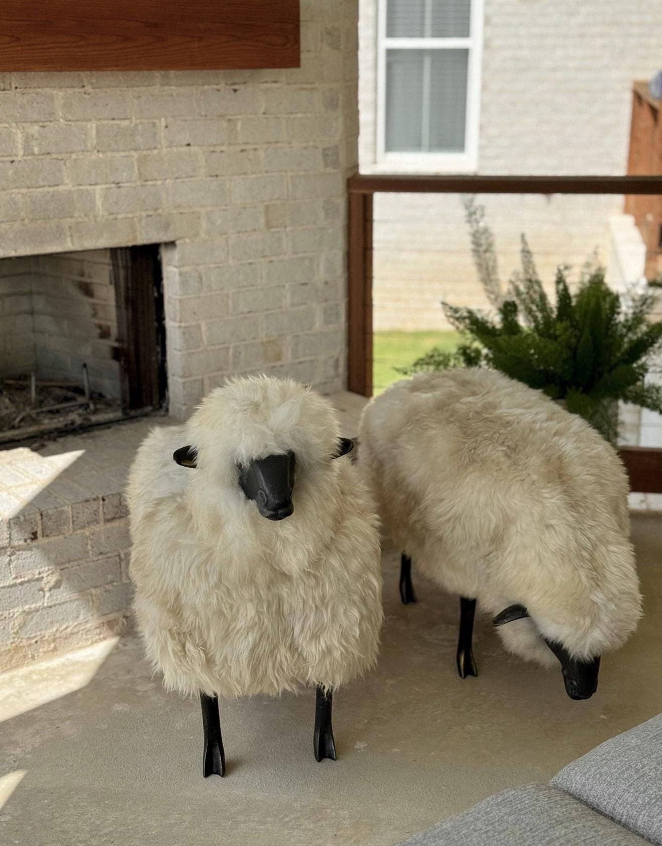* antique sheep ✵ * ✵ * 黒い小さな 羊さん antique sheep ✵ * ✵ * 黒い小さな 羊さん - メルカリ