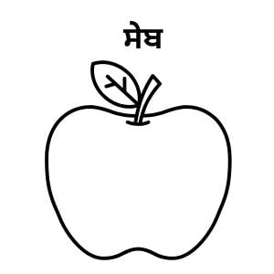 Learn Punjabi Fruits: Picture & Spelling Guide (PDF Print)