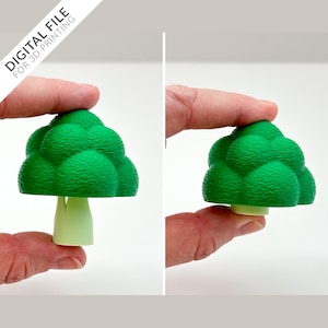 Giocattolo elastico di broccoli - File STL per stampa 3D