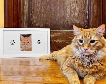 Paw Print Ink Pad for Pets Early Christmas Gift Guide