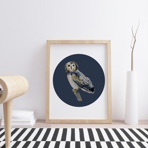 Vogelprint / Handgemaakte aquarel / Uil / woondecoratie / Kunstenaar ontworpen Geïllustreerde prints / Vogeltekeningen / Betoverde tuin / Mixed media