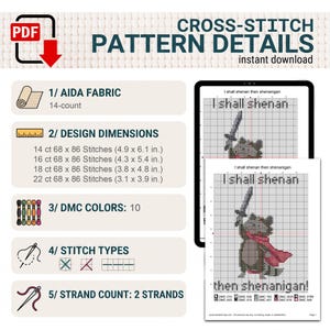 Pu&ograve; includere: Uno schema digitale a punto croce con un procione che impugna una spada e il testo I shall shenan then shenanigan. Il documento elenca tela Aida 14, dimensioni del disegno in pollici per vari conteggi, 10 colori DMC, tipi di punto e 2 fili.