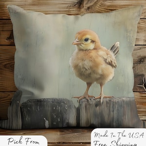Charming Bird Design Pillow - Cozy Home Decor, Cute Gifts for Nature Lovers, Farmhouse Style, Throw Cushion, Ideal for Bird Enthusiasts