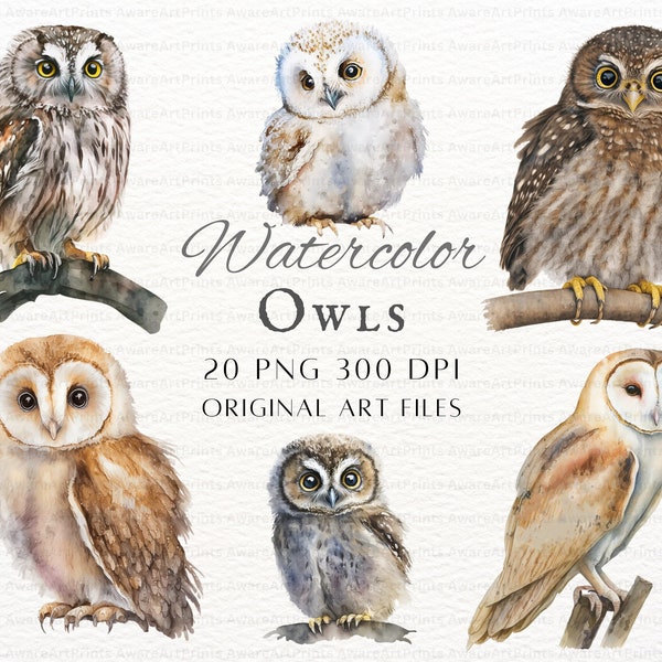 Watercolor Owl 20pc PNG & JPEG Bundle | Watercolor Owl PNG | Owl Art | Owl Commercial Use | Cute Owls | Owl Junk Journal Art | Printable Owl