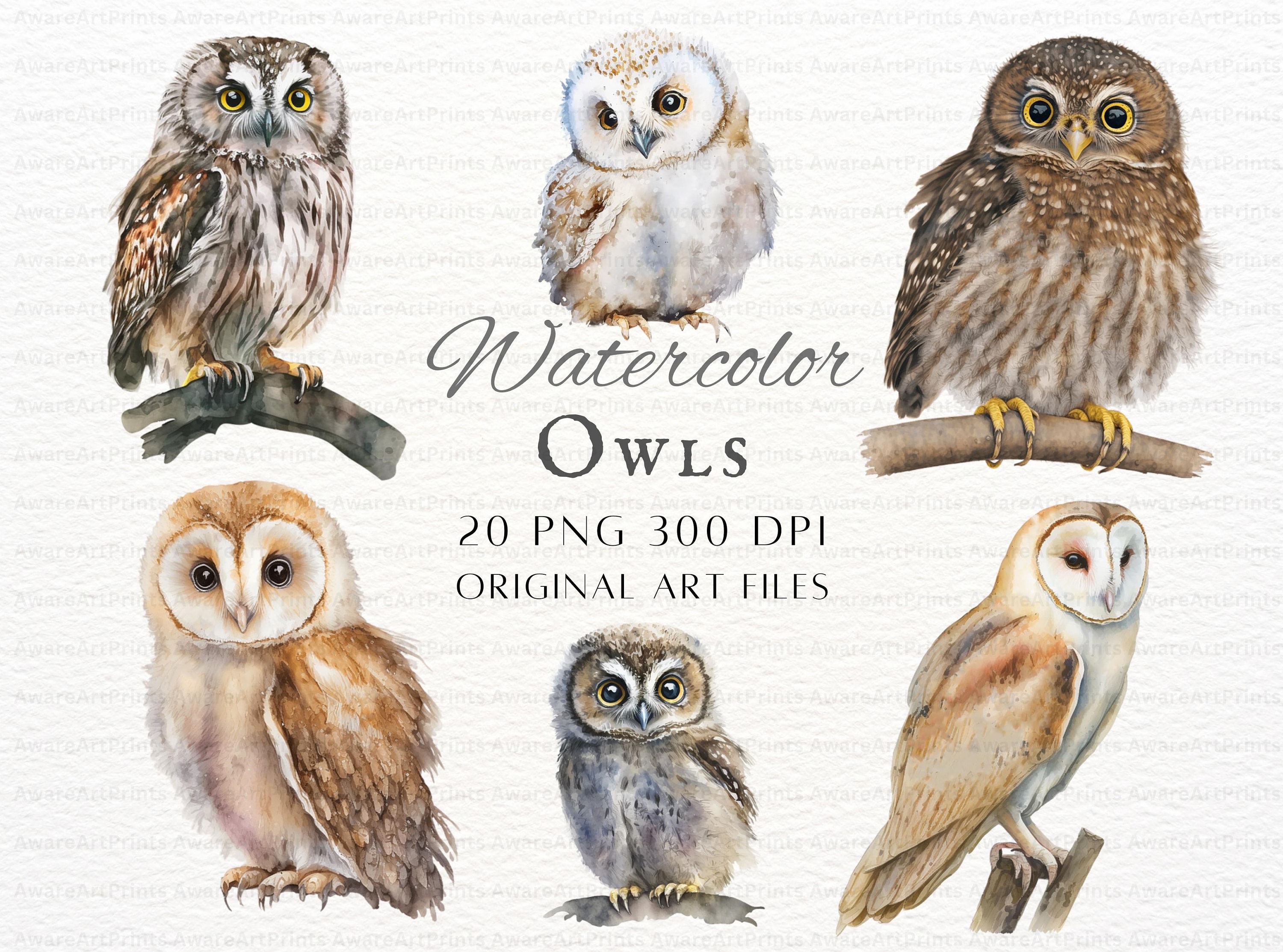 Watercolor Owl 20pc PNG & JPEG Bundle | Watercolor Owl PNG | Owl Art | Owl Commercial Use | Cute