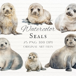Watercolor Seals 25pc PNG & JPEG Bundle | Watercolor Seal PNG | Watercolor Baby Seal Commercial Use | Watercolor Baby Seal | Kawaii Seals
