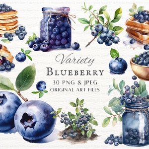 Blueberry 30pc PNG & JPEG Bundle | Watercolor Blueberry Art | Blueberry PNG | Blueberry  Commercial | Printable Blueberry | Fruit Clipart
