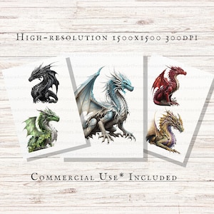May include: Four digital illustrations of dragons in different colours. A black dragon, a green dragon, a blue and white dragon, and a red dragon.