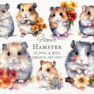 Hamster 25pc PNG & JPEG Bundle | Watercolor Hamster PNG | Hamster Clipart | Hamster Commercial Use | Printable Hamster | Nursery Hamster Art