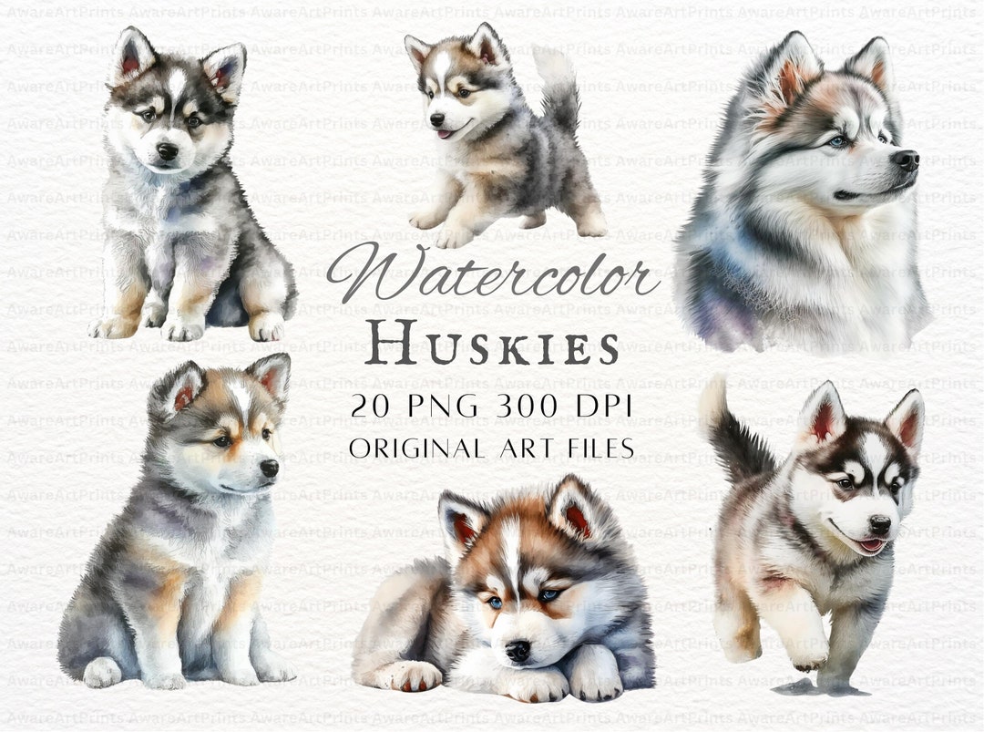 Siberian Husky 20pc PNG & JPEG Watercolor Husky PNG Husky - Etsy